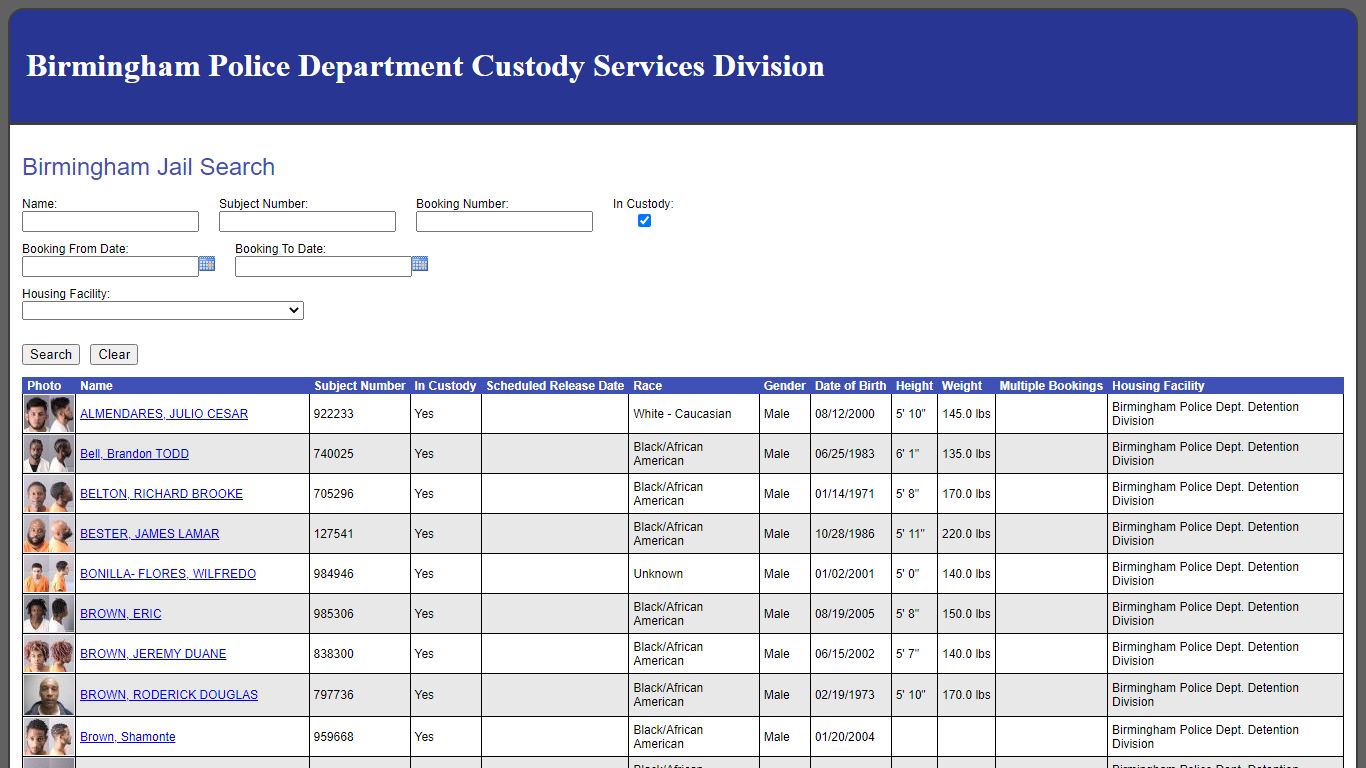 Birmingham Jail Search